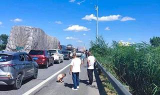 辽宁省高速公路路况查询